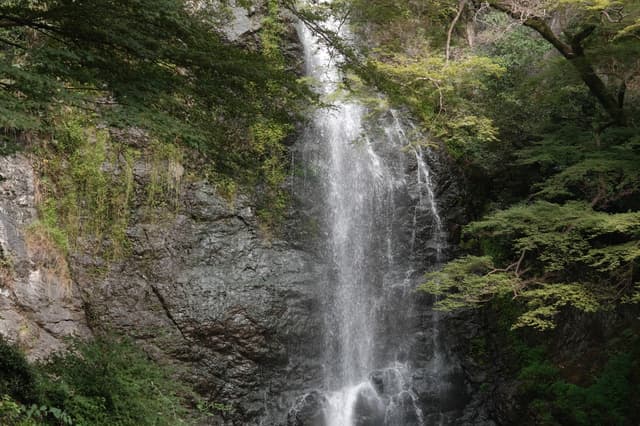A tall, narrow waterfall falling down a dark rock face between green trees.